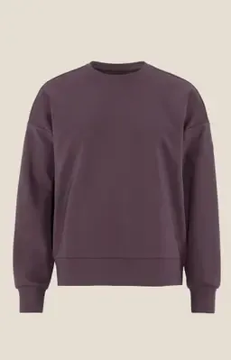 Craft ADV Join RN Sweatshirt W Plum